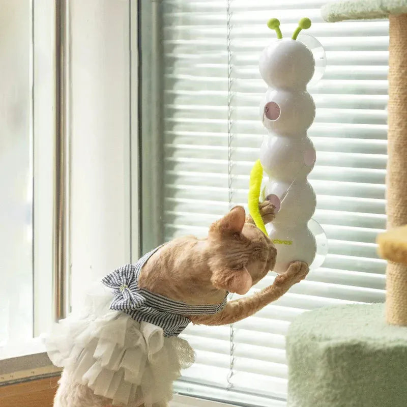Automatic Cat Teaser Toy - USB Rechargeable Interactive Caterpillar Motion Sensor