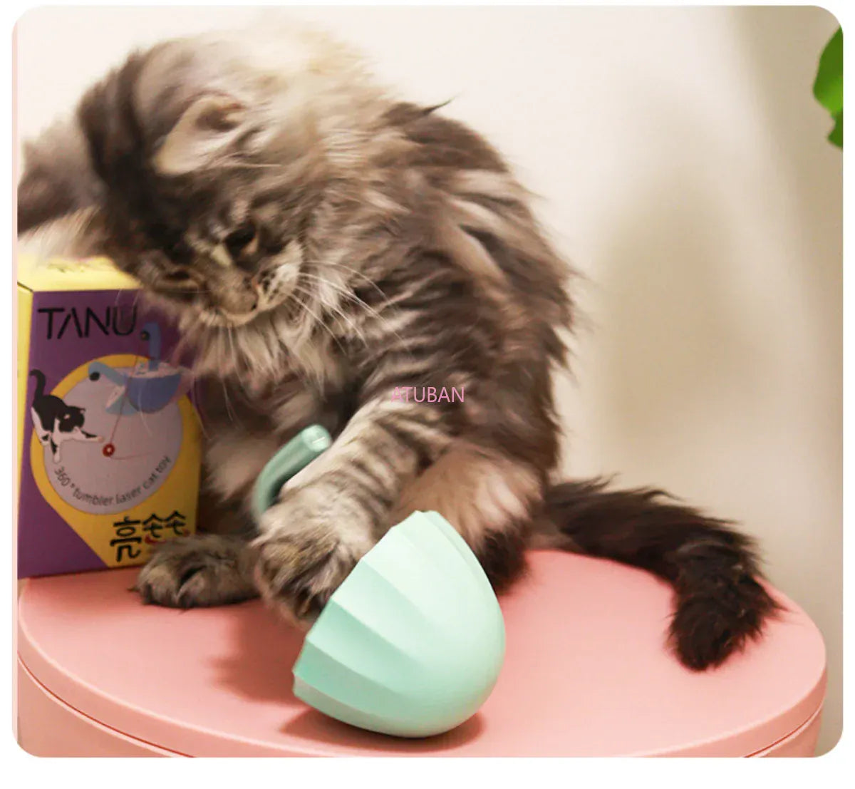 Automatic Laser Cat Toy - 360° Irregular Rotation Tumbler with Catnip Compartment