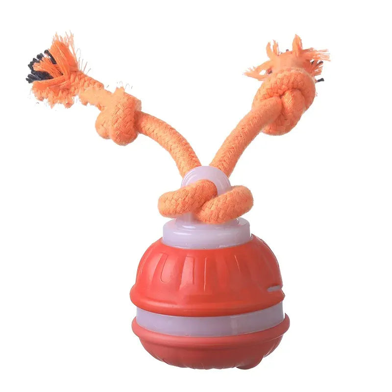 Automatic Rolling Ball for Dogs – Motion Activated USB Rechargeable Interactive Toy