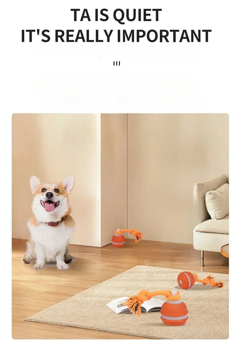 Automatic Rolling Ball for Dogs – Motion Activated USB Rechargeable Interactive Toy