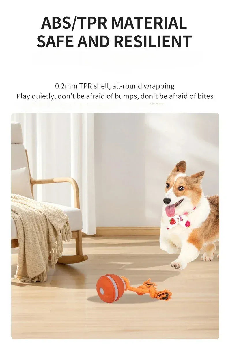 Automatic Rolling Ball for Dogs – Motion Activated USB Rechargeable Interactive Toy