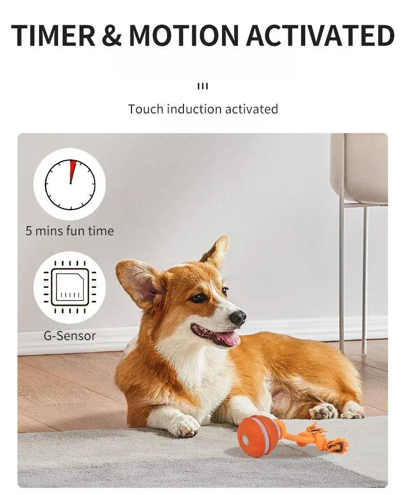 Automatic Rolling Ball for Dogs – Motion Activated USB Rechargeable Interactive Toy