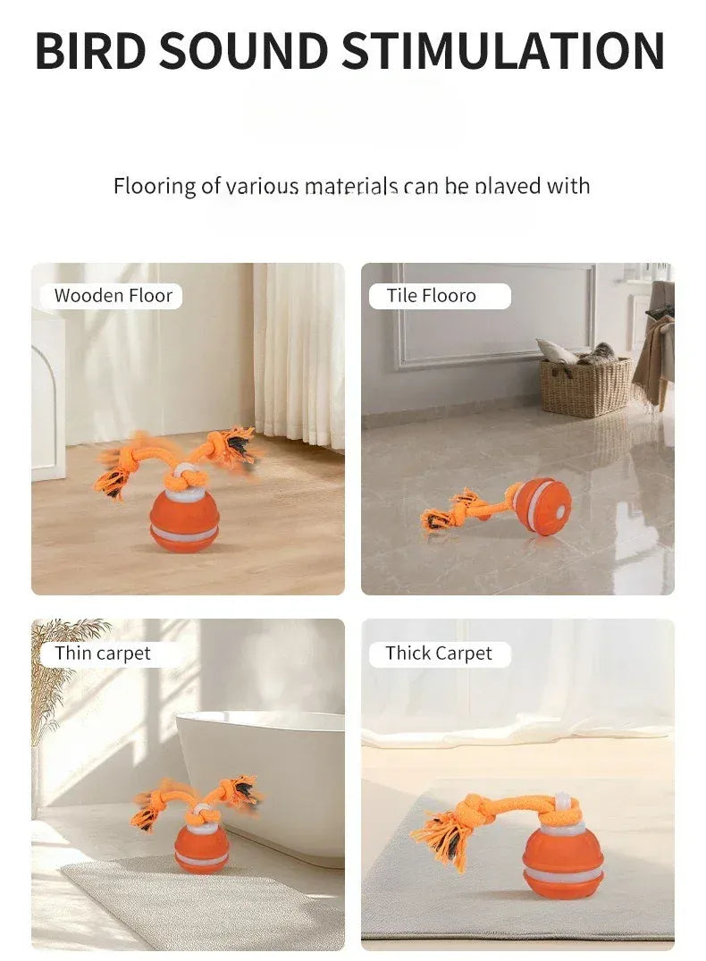 Automatic Rolling Ball for Dogs – Motion Activated USB Rechargeable Interactive Toy