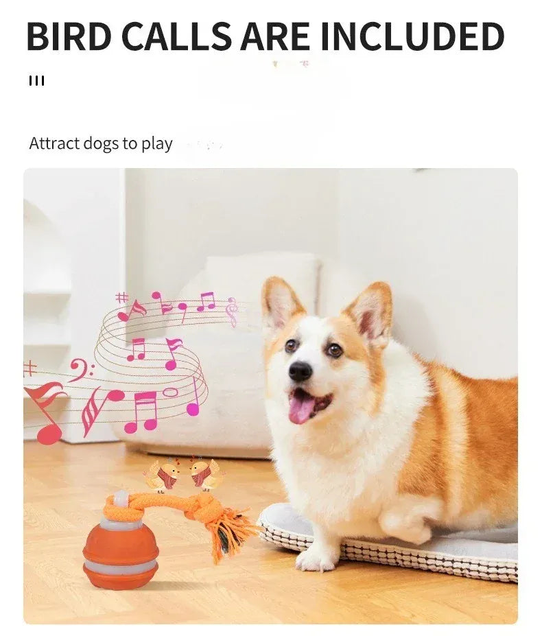 Automatic Rolling Ball for Dogs – Motion Activated USB Rechargeable Interactive Toy