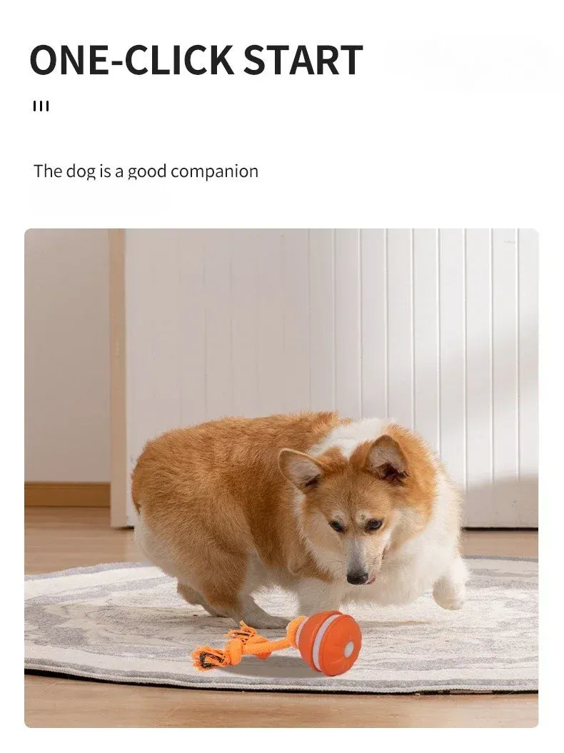 Automatic Rolling Ball for Dogs – Motion Activated USB Rechargeable Interactive Toy
