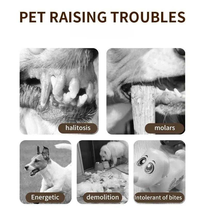 Automatic Rolling Ball for Dogs – Motion Activated USB Rechargeable Interactive Toy