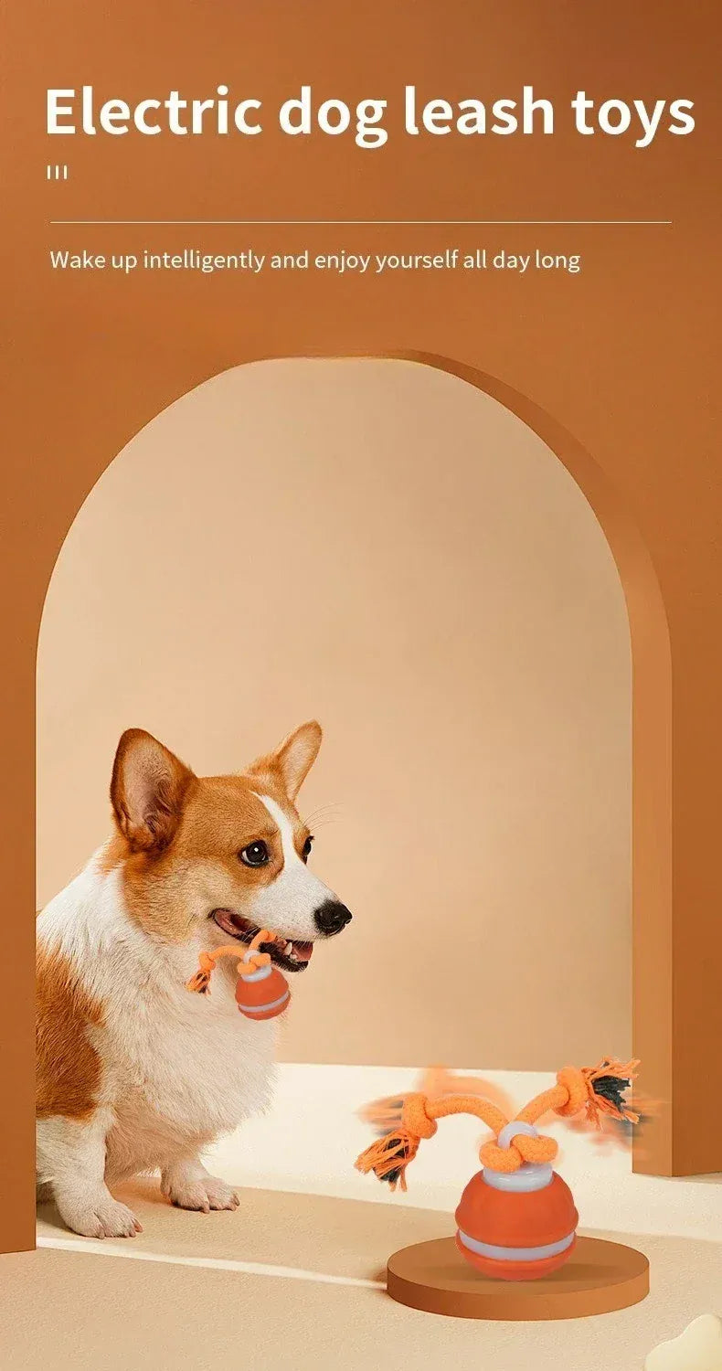 Automatic Rolling Ball for Dogs – Motion Activated USB Rechargeable Interactive Toy