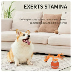 Automatic Rolling Ball for Dogs – Motion Activated USB Rechargeable Interactive Toy