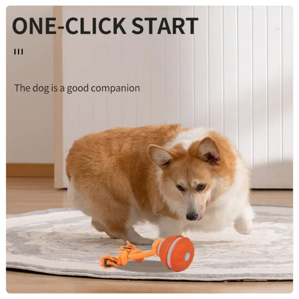 Automatic Rolling Ball for Dogs – Motion Activated USB Rechargeable Interactive Toy