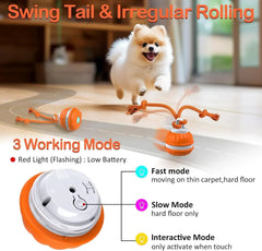 Automatic Rolling Ball for Dogs – Motion Activated USB Rechargeable Interactive Toy