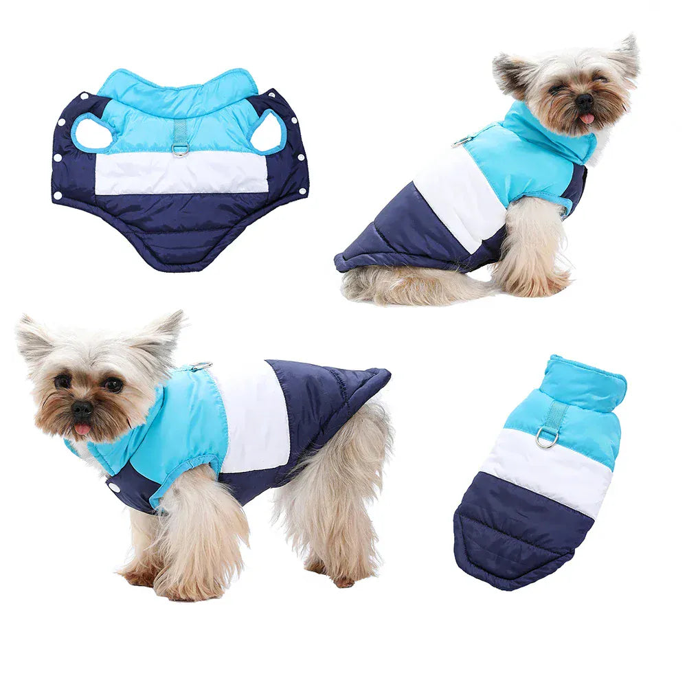 Autumn Winter Cat Clothes | Soft Warm Vest Jacket with D-Ring for Small Cats & Dogs | British Shorthair & Sphynx Pet Outfits