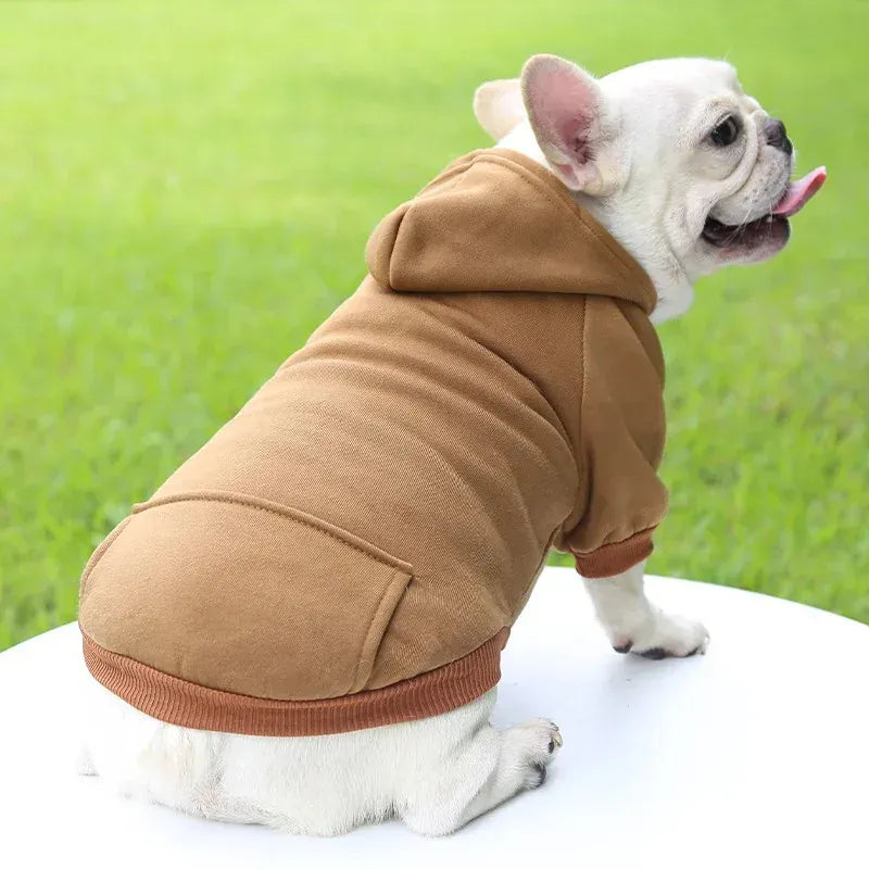 Autumn & Winter Pet Hoodie – Warm Cotton Hooded Sweatshirt for Cats, Kittens & Small Dogs