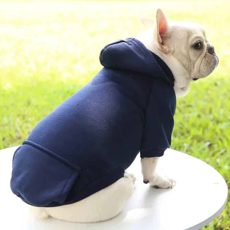 Autumn & Winter Pet Hoodie – Warm Cotton Hooded Sweatshirt for Cats, Kittens & Small Dogs