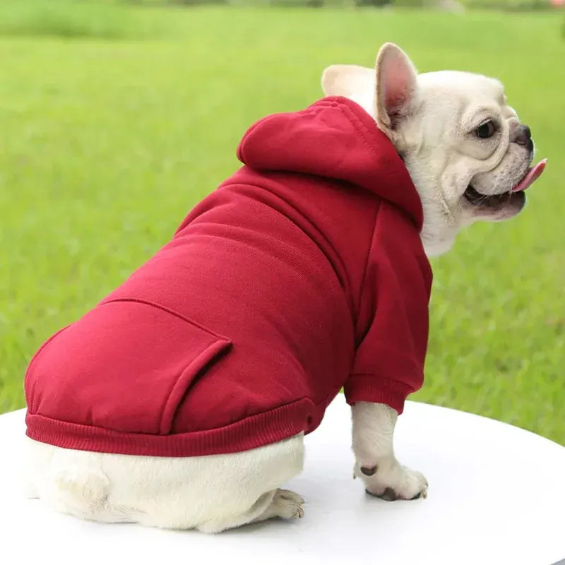 Autumn & Winter Pet Hoodie – Warm Cotton Hooded Sweatshirt for Cats, Kittens & Small Dogs