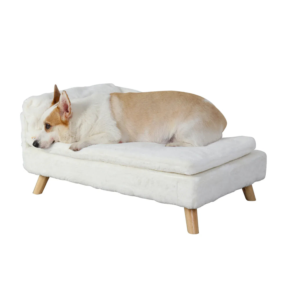 BINGOPAW Nordic Pet Sofa Bed - Elevated Dog & Cat Couch with Wooden Legs, Waterproof & Plush, for Small Pets, Beige