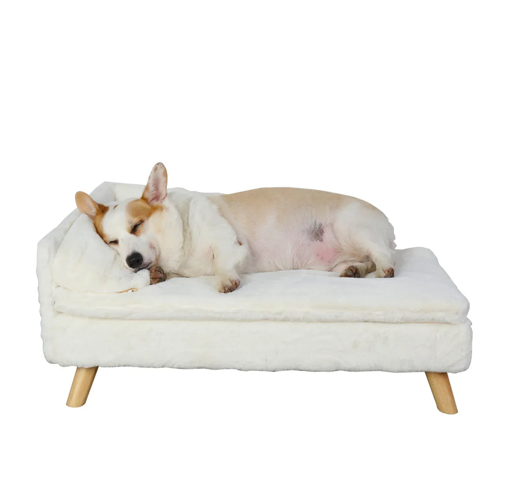 BINGOPAW Nordic Pet Sofa Bed - Elevated Dog & Cat Couch with Wooden Legs, Waterproof & Plush, for Small Pets, Beige