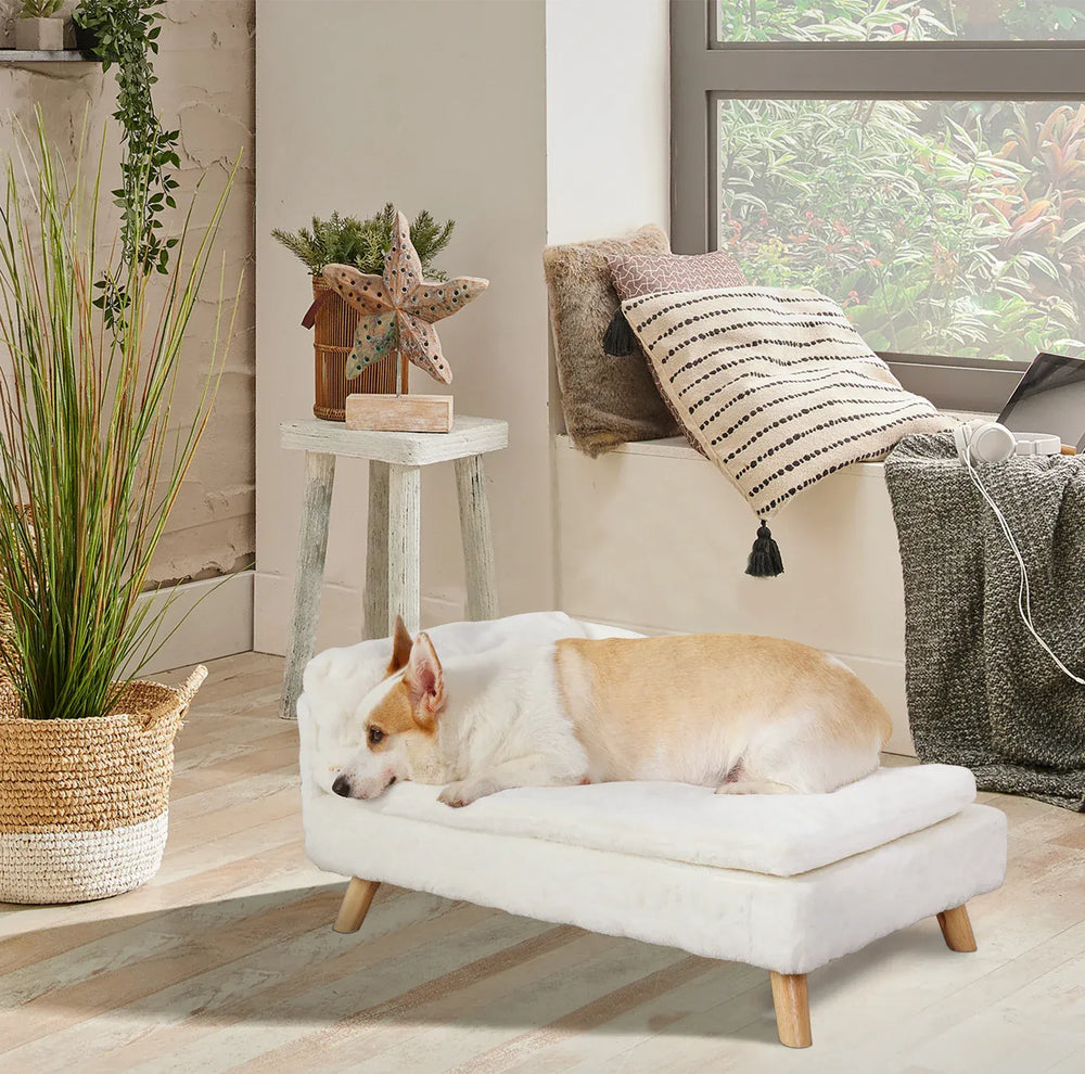 BINGOPAW Nordic Pet Sofa Bed - Elevated Dog & Cat Couch with Wooden Legs, Waterproof & Plush, for Small Pets, Beige