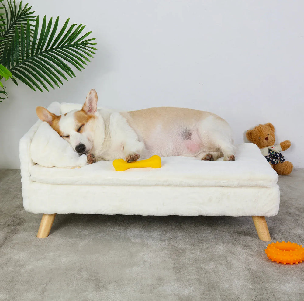 BINGOPAW Nordic Pet Sofa Bed - Elevated Dog & Cat Couch with Wooden Legs, Waterproof & Plush, for Small Pets, Beige