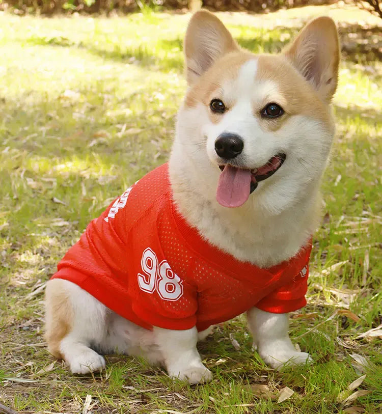 CAIBAN Summer Pet Cooling Vest - Heat Relief for Dogs & Cats