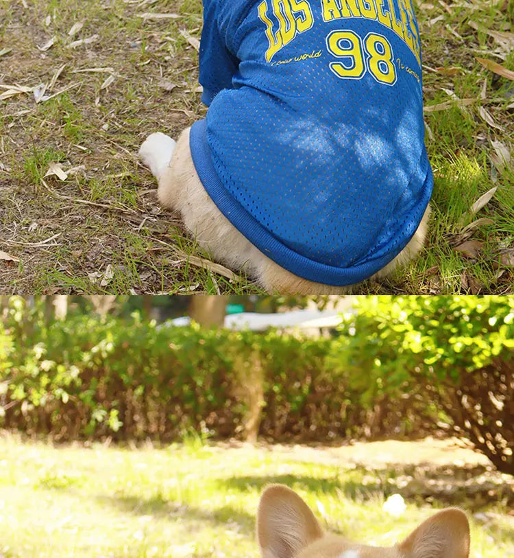 CAIBAN Summer Pet Cooling Vest - Heat Relief for Dogs & Cats