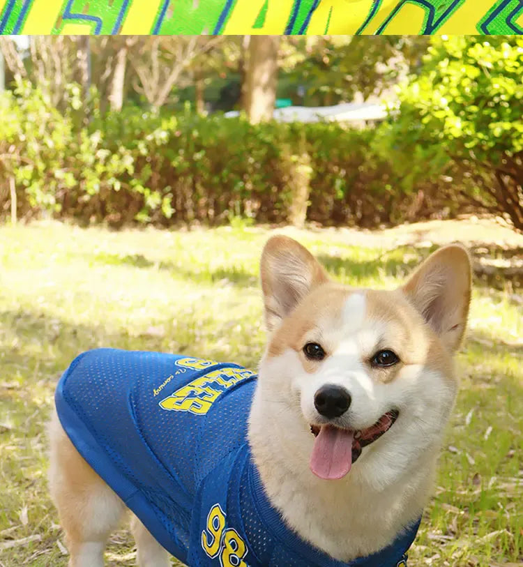 CAIBAN Summer Pet Cooling Vest - Heat Relief for Dogs & Cats