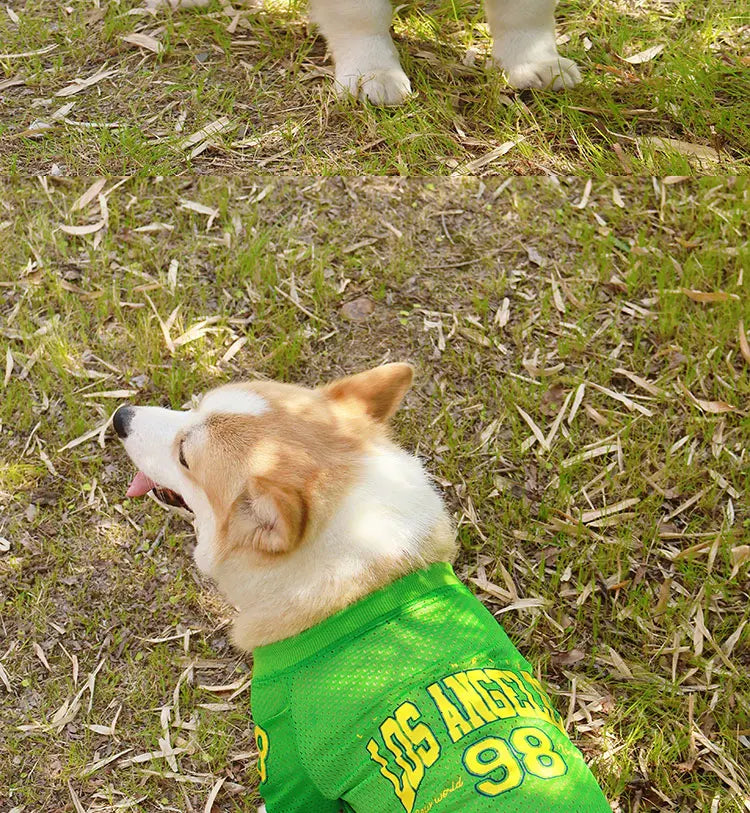 CAIBAN Summer Pet Cooling Vest - Heat Relief for Dogs & Cats