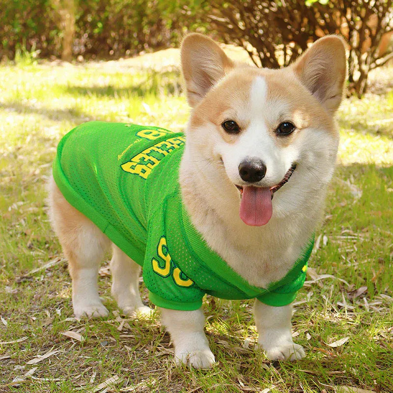 CAIBAN Summer Pet Cooling Vest - Heat Relief for Dogs & Cats