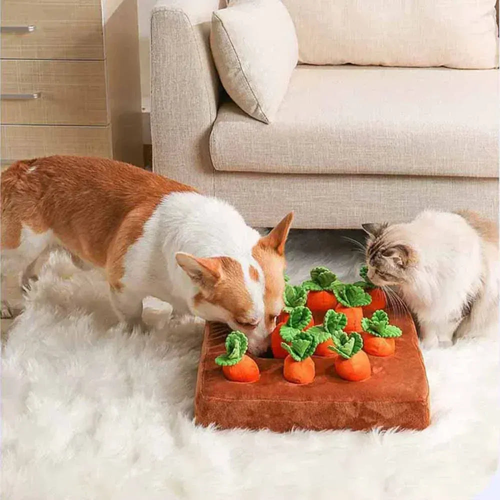 Carrot Snuffle Mat for Dogs & Cats – Interactive Puzzle Feeder Toy with Hiding Carrots