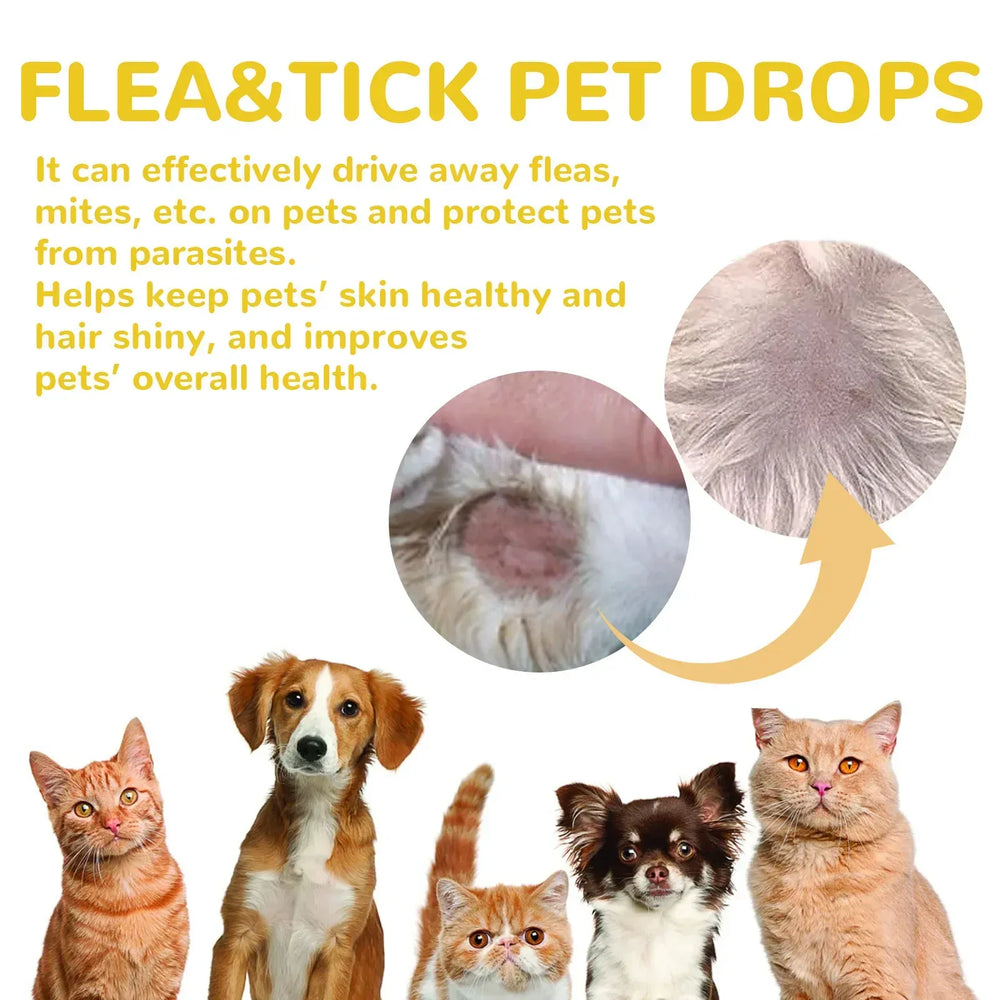 Cat Anti-Flea Drops - Monthly Flea & Tick Treatment, Skin Itching Relief & Deworming Drops for Cats (1ml/3ml/5ml/8ml Options)