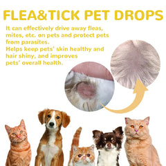 Cat Anti-Flea Drops - Monthly Flea & Tick Treatment, Skin Itching Relief & Deworming Drops for Cats (1ml/3ml/5ml/8ml Options)