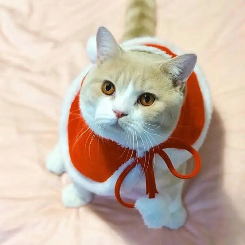 Cat Christmas Costume – Santa Claus Cosplay Cape & Scarf | Funny Pet Xmas Cloak for Cats & Small Dogs | Winter Dress-Up Outfit
