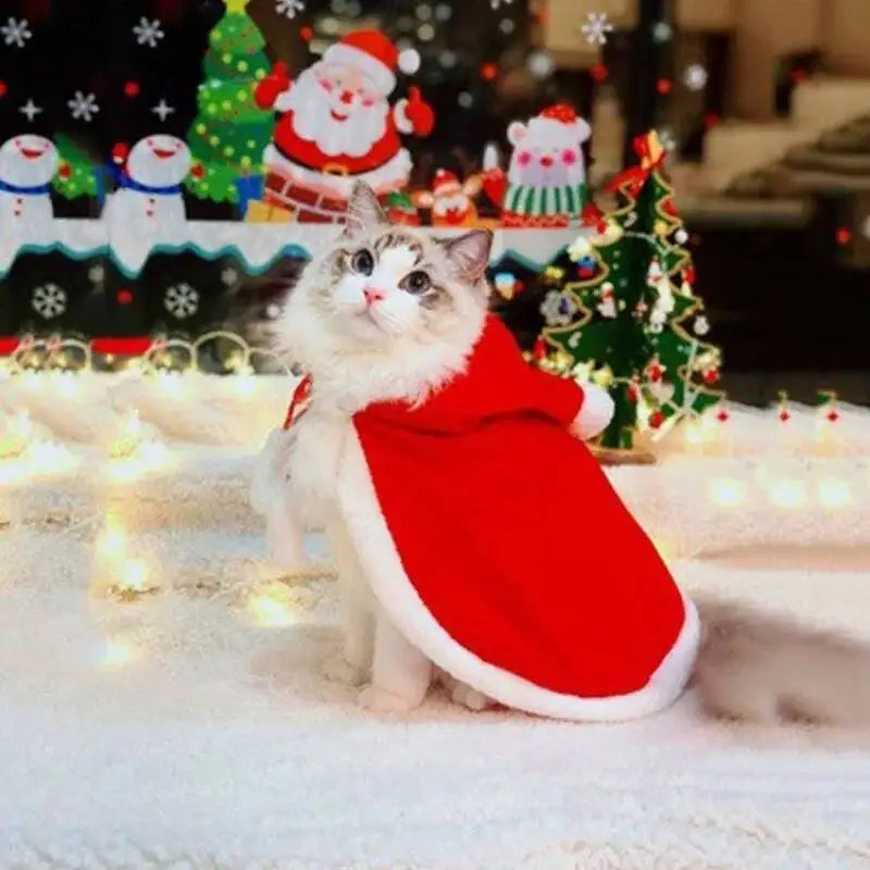 Cat Christmas Costume – Santa Claus Cosplay Cape & Scarf | Funny Pet Xmas Cloak for Cats & Small Dogs | Winter Dress-Up Outfit