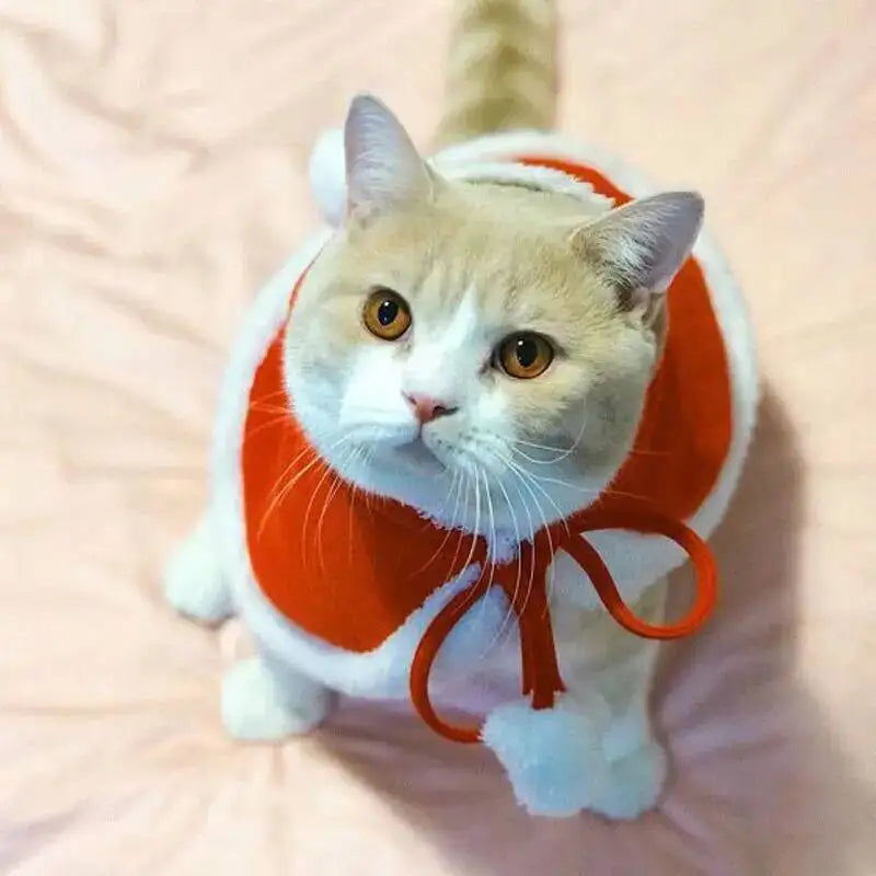 Cat Christmas Costume – Santa Claus Cosplay Cape & Scarf | Funny Pet Xmas Cloak for Cats & Small Dogs | Winter Dress-Up Outfit