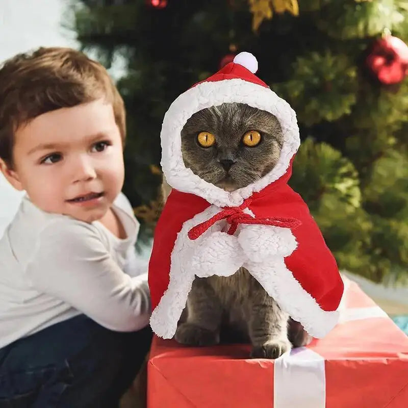 Cat Christmas Costume – Santa Claus Cosplay Cape & Scarf | Funny Pet Xmas Cloak for Cats & Small Dogs | Winter Dress-Up Outfit