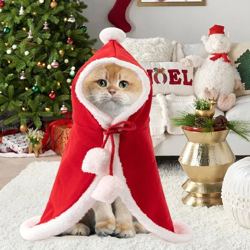 Cat Christmas Costume – Santa Claus Cosplay Cape & Scarf | Funny Pet Xmas Cloak for Cats & Small Dogs | Winter Dress-Up Outfit