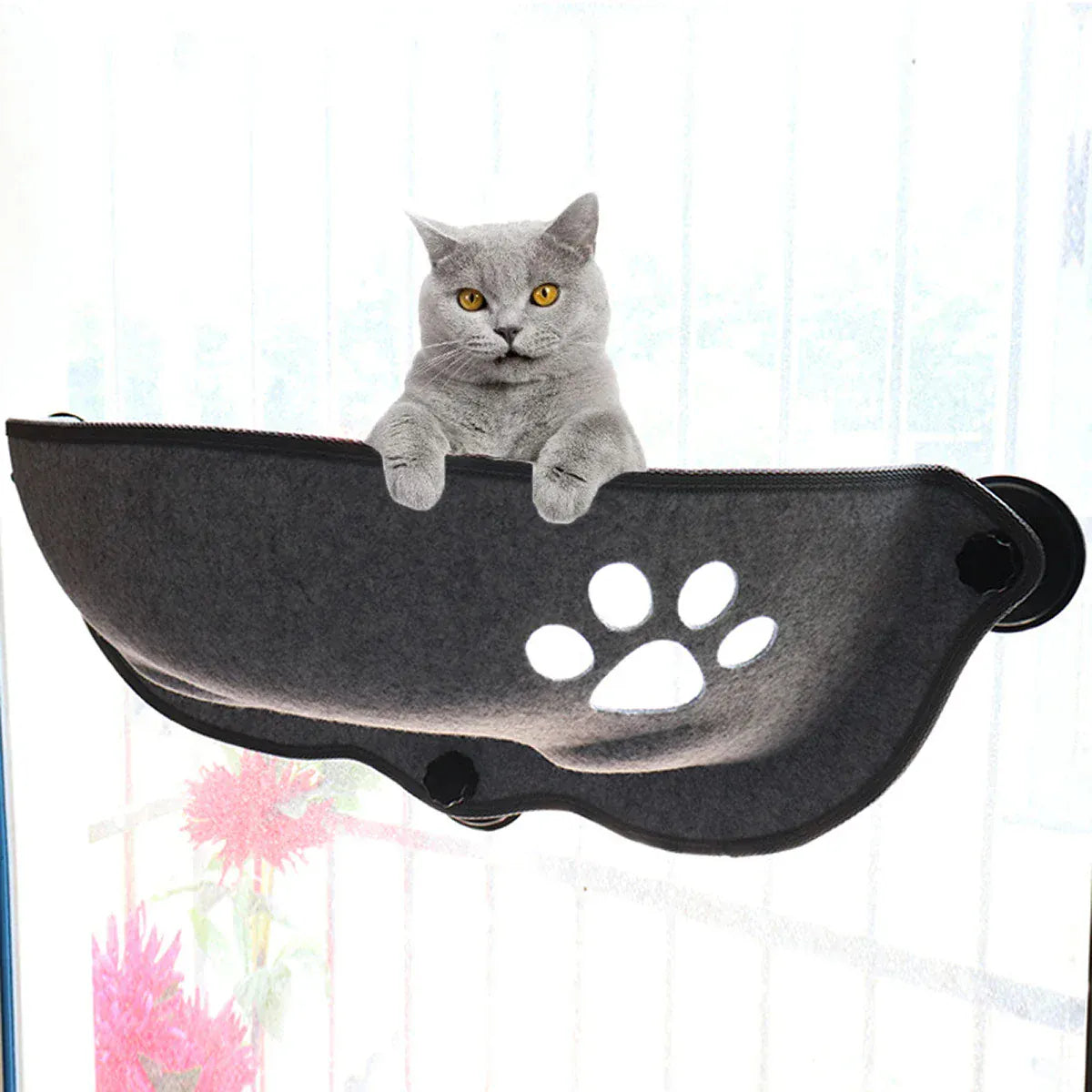 Cat Window Hammock Bed – Suction Cup Lounger for Cats & Small Pets up to 20kg