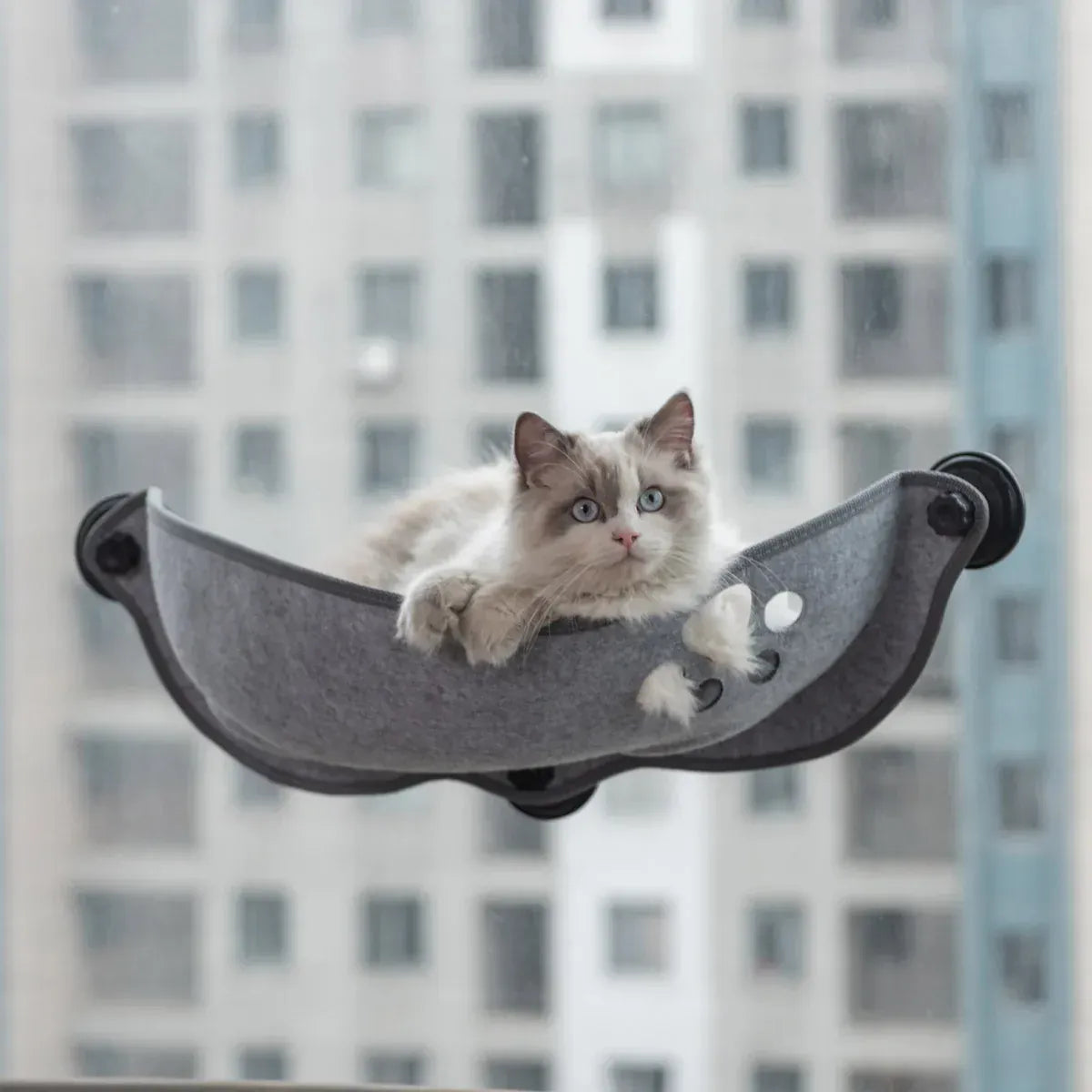 Cat Window Hammock Bed – Suction Cup Lounger for Cats & Small Pets up to 20kg