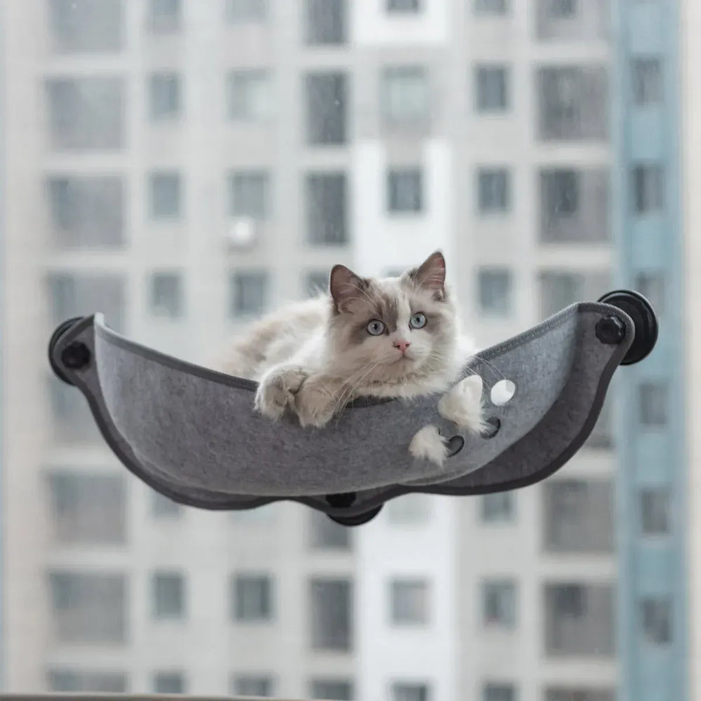Cat Window Hammock Bed – Suction Cup Lounger for Cats & Small Pets up to 20kg