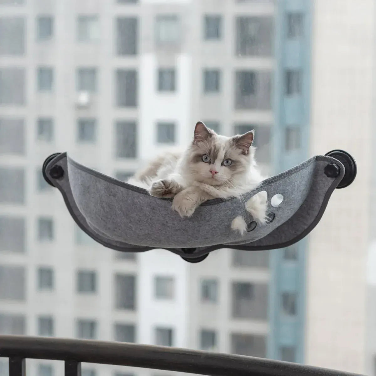 Cat Window Hammock Bed – Suction Cup Lounger for Cats & Small Pets up to 20kg