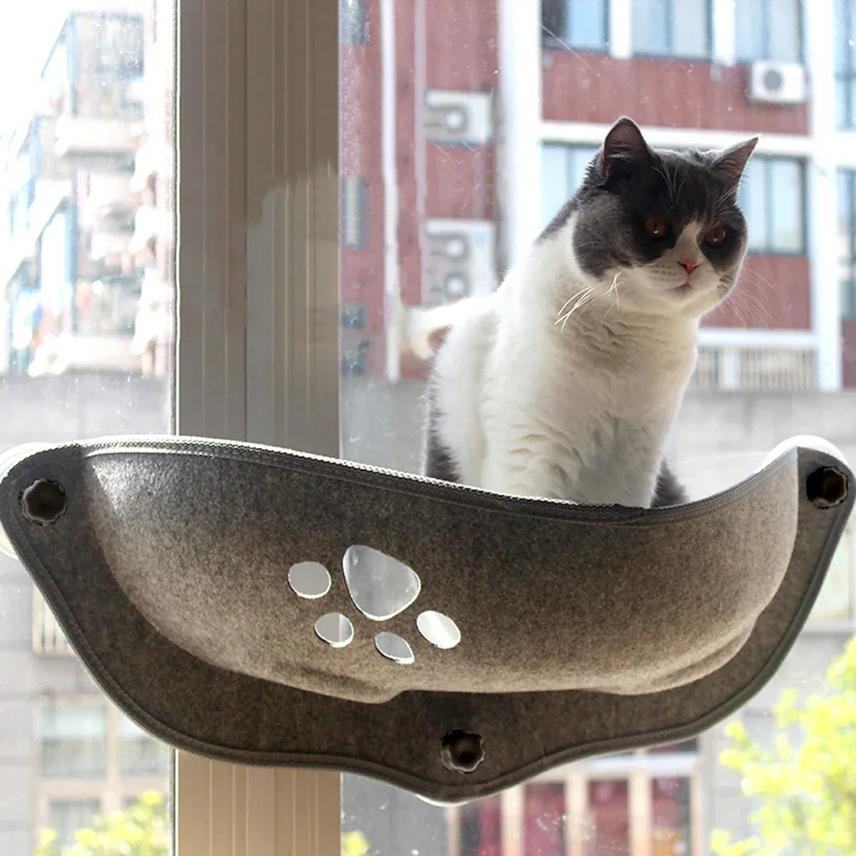 Cat Window Hammock Bed – Suction Cup Lounger for Cats & Small Pets up to 20kg
