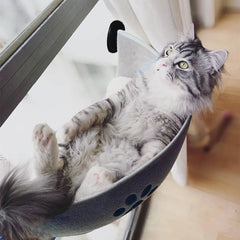 Cat Window Hammock Bed – Suction Cup Lounger for Cats & Small Pets up to 20kg