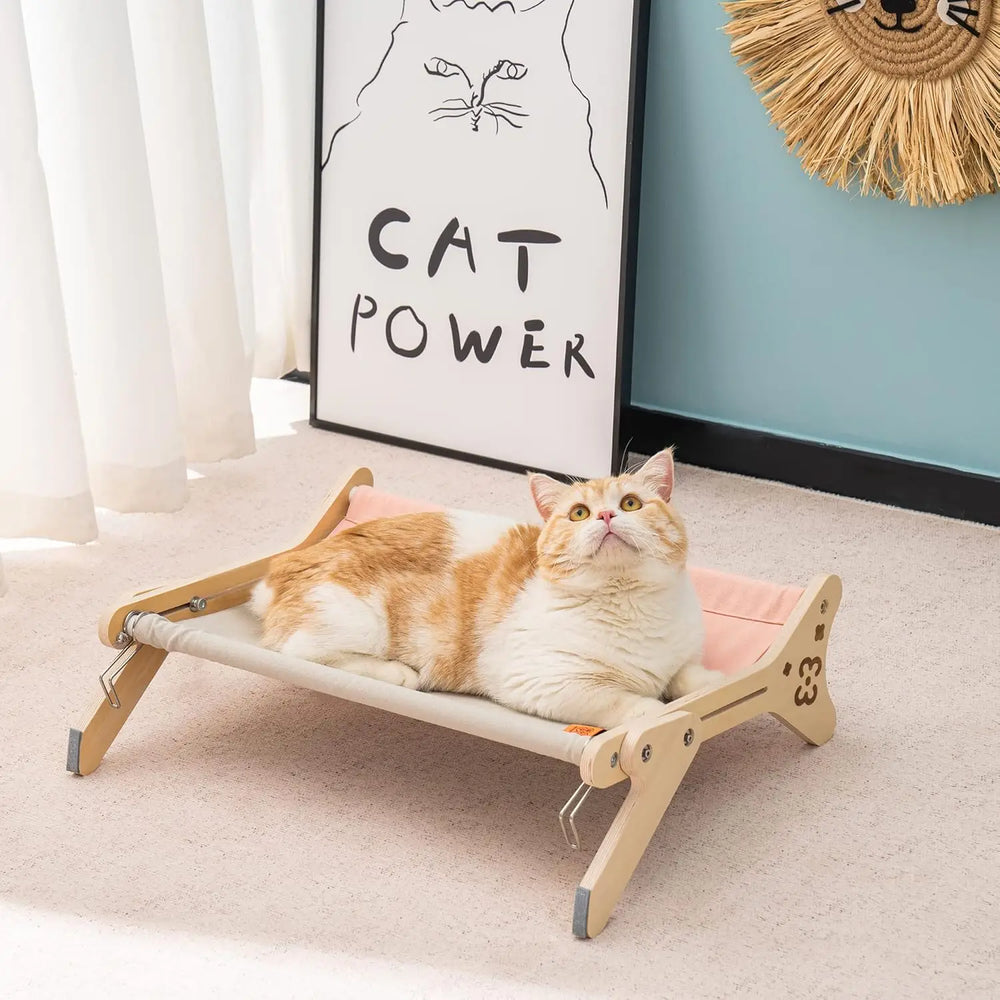 Cat Window Perch 2-in-1 - Adjustable Hammock Bed for Indoor Cats 40lb Capacity