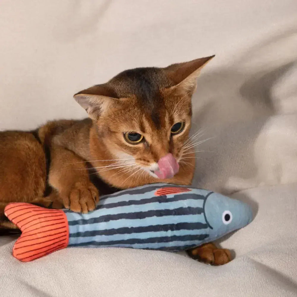 Catnip Fish Toy for Cats – Plush Simulation Fish with Interactive Chew & Pillow Design