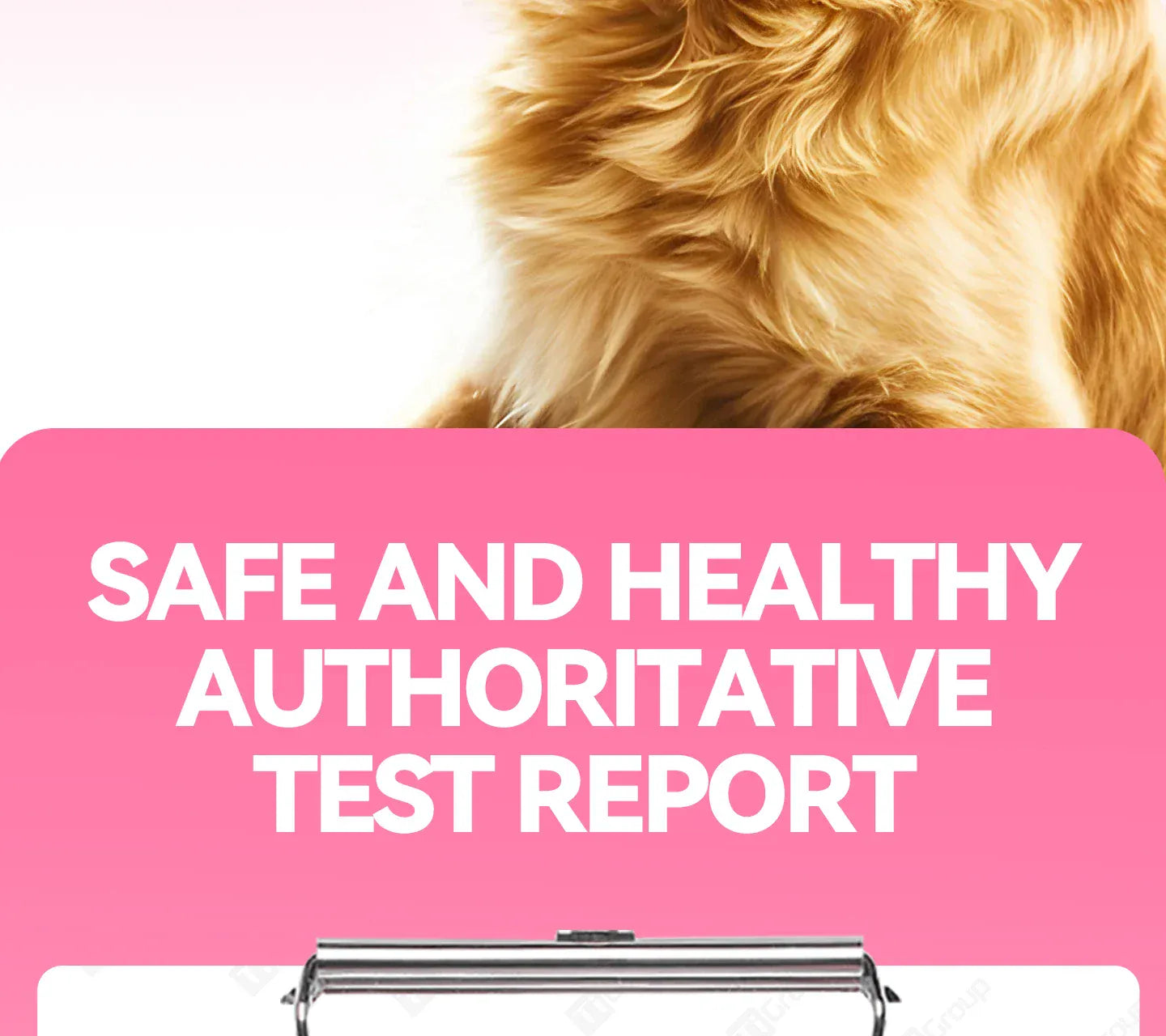 Chanbuni Cat & Dog Calcium Tablets | Joint Support Pet Treats | Nutritious Cat Food Supplement for Strong Bones & Healthy Joints