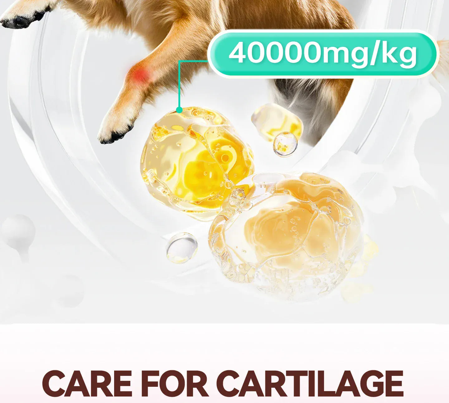 Chanbuni Cat & Dog Calcium Tablets | Joint Support Pet Treats | Nutritious Cat Food Supplement for Strong Bones & Healthy Joints