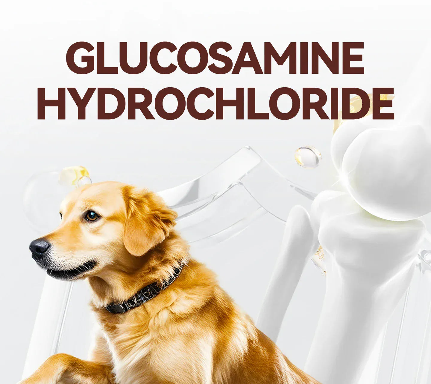 Chanbuni Cat & Dog Calcium Tablets | Joint Support Pet Treats | Nutritious Cat Food Supplement for Strong Bones & Healthy Joints