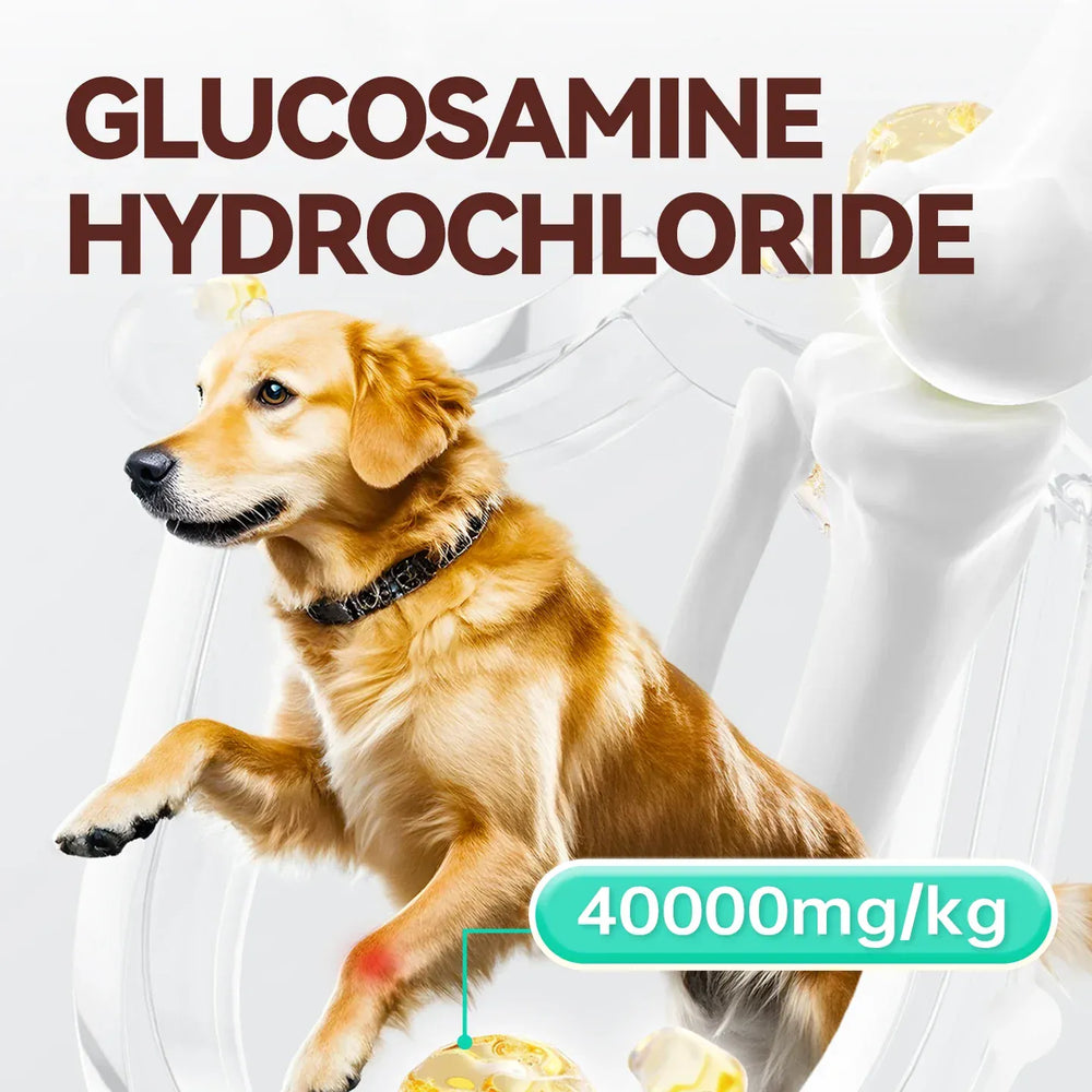 Chanbuni Cat & Dog Calcium Tablets | Joint Support Pet Treats | Nutritious Cat Food Supplement for Strong Bones & Healthy Joints