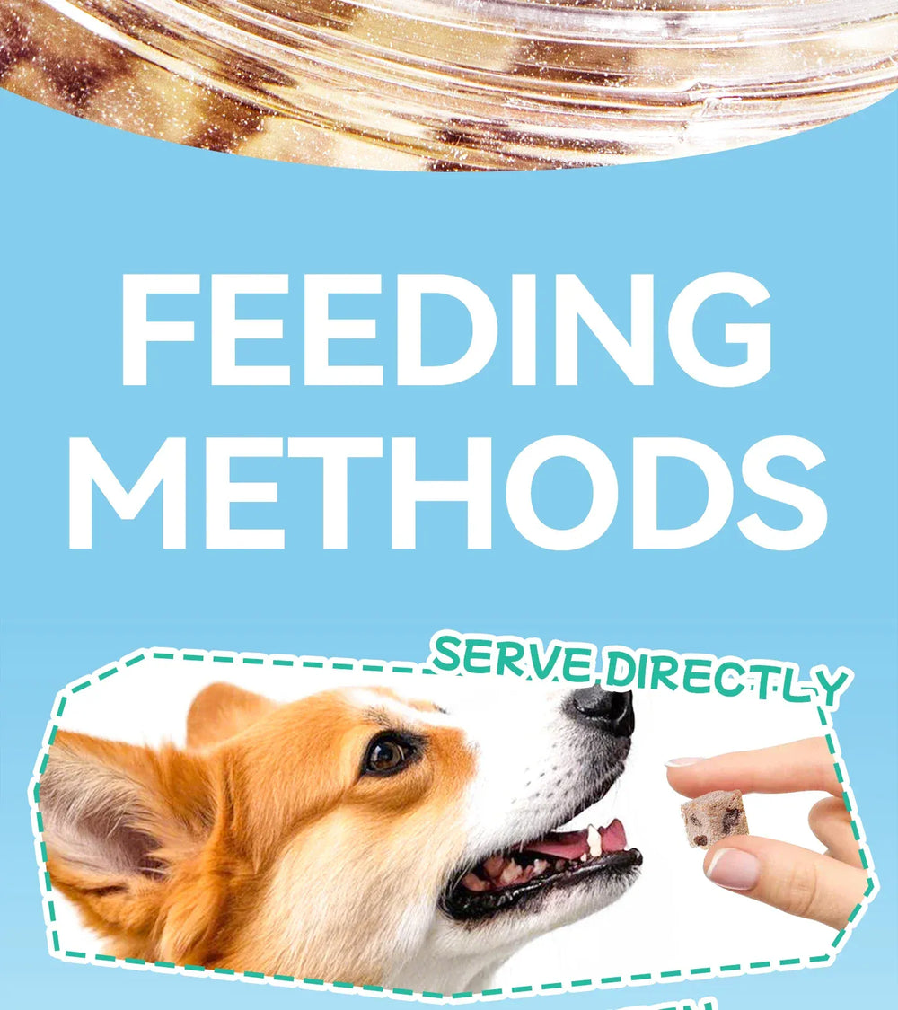 Chanbuni Chicken Cranberry Cat Snacks - Freeze-Dried Meat & Fruit Treats