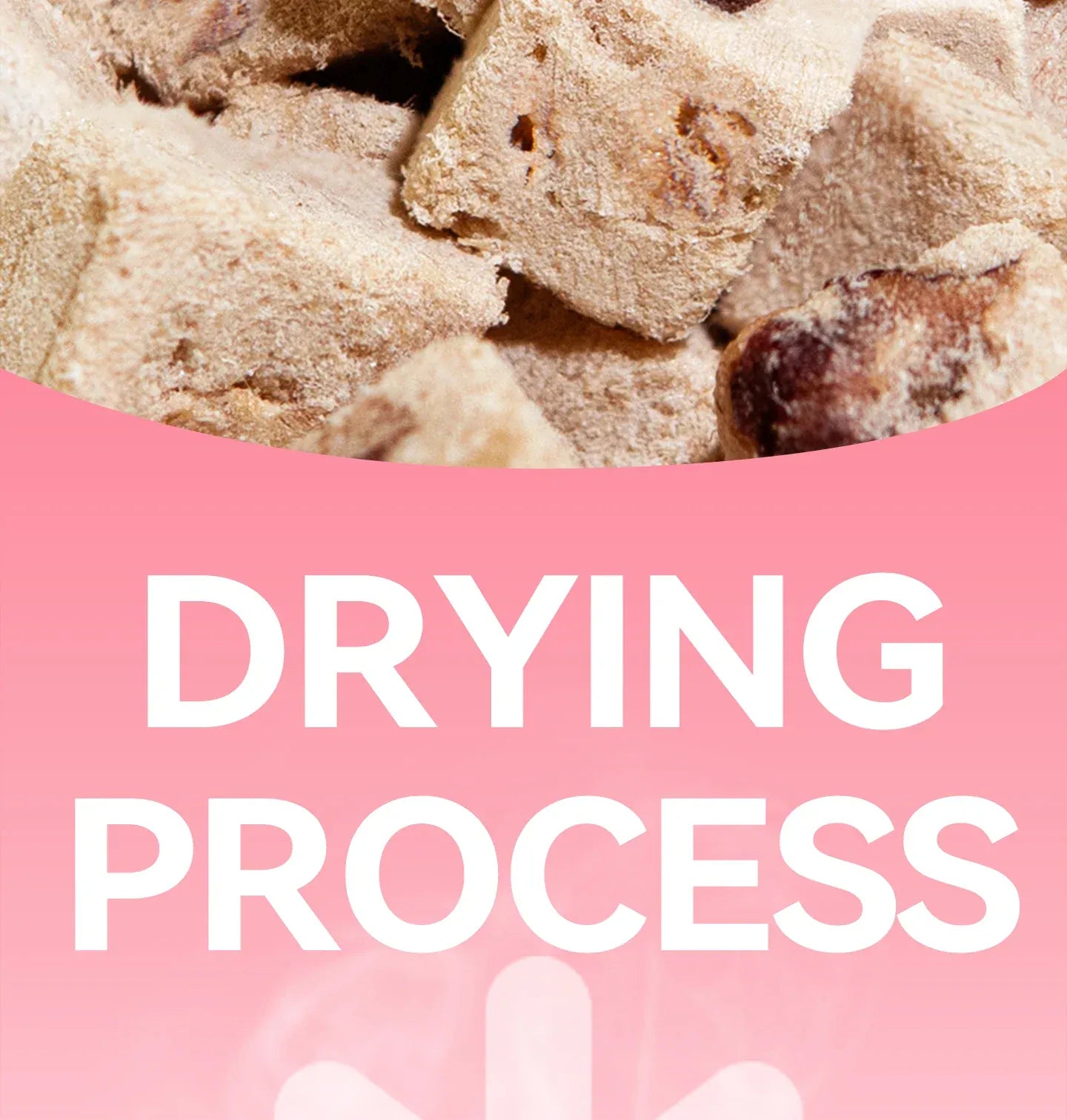 Chanbuni Chicken Cranberry Cat Snacks - Freeze-Dried Meat & Fruit Treats