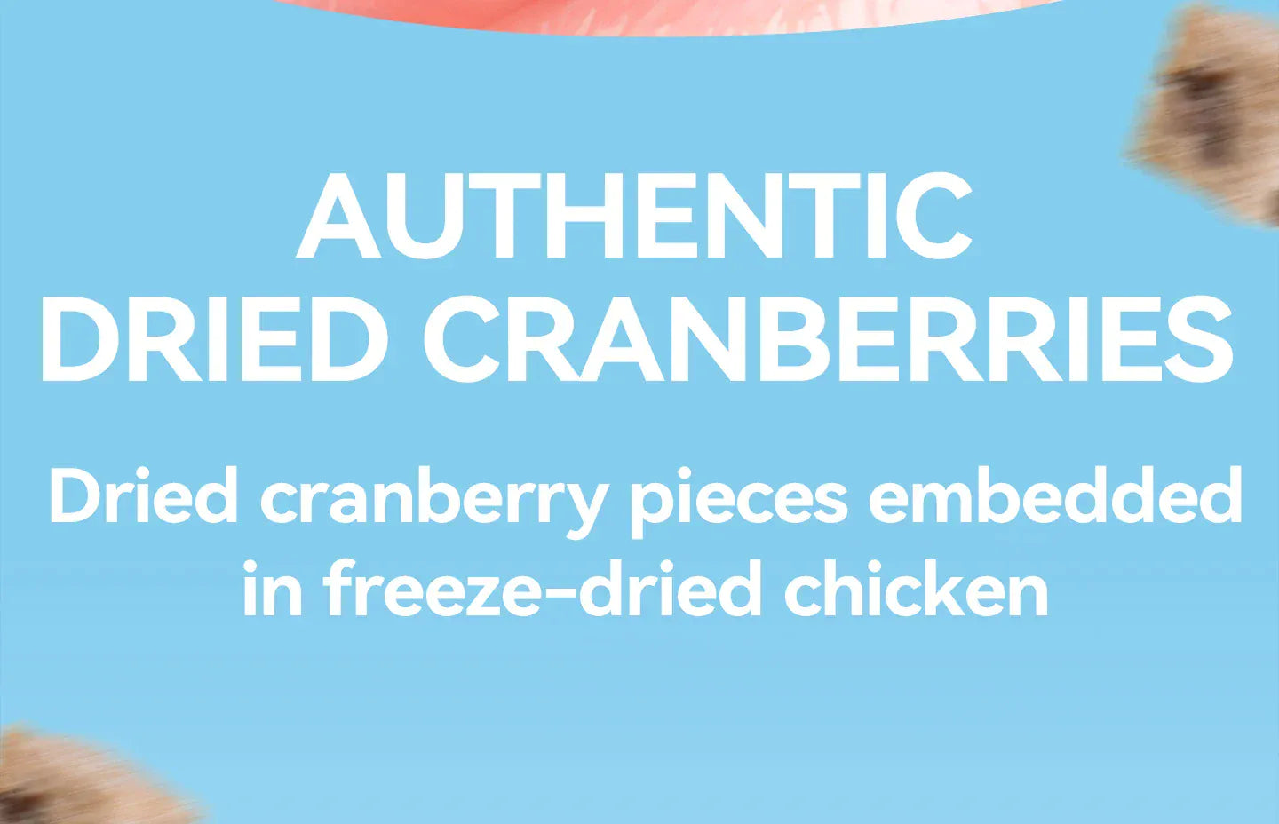 Chanbuni Chicken Cranberry Cat Snacks - Freeze-Dried Meat & Fruit Treats
